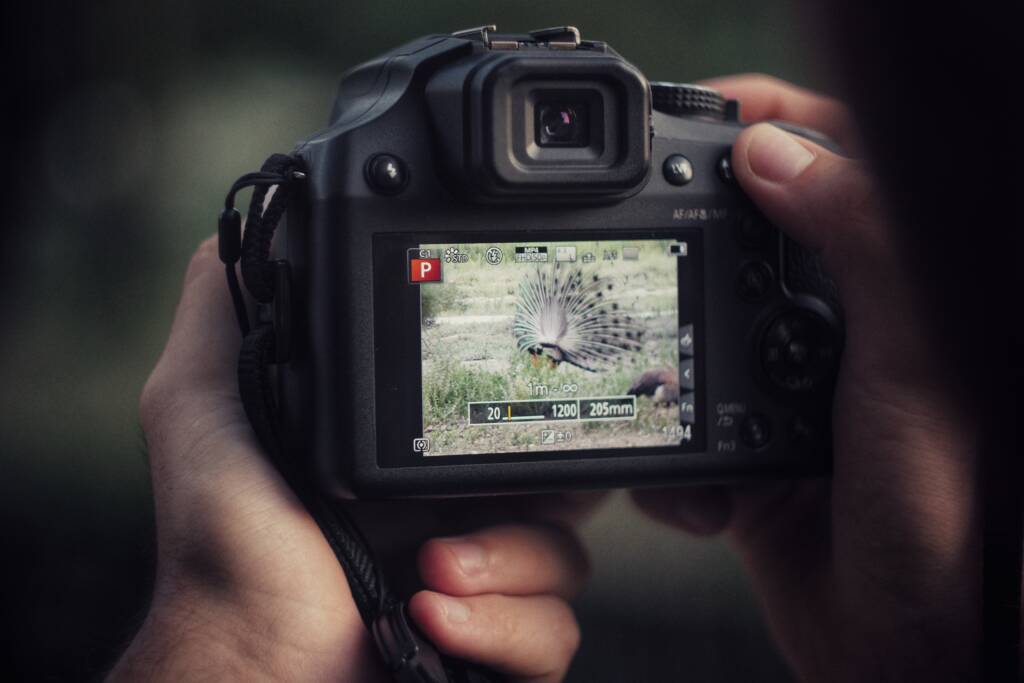 Atelier photo nature