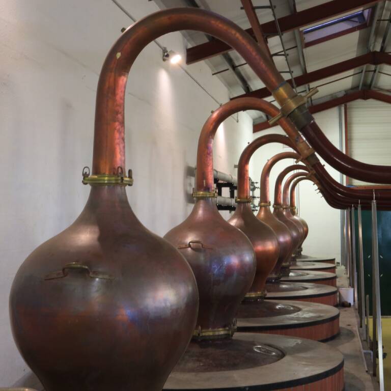 Visite guidée de la distillerie