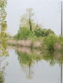 canal charente-seudre -Fédération pour la pêche et la Protection du Milieu Aquatique de Charente-Maritime.jpg