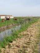 canal de broue - Fédération pour la pêche et la Protection du Milieu Aquatique de Charente-Maritime (2).jpg