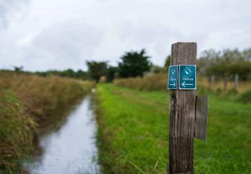 Le Chemin d'Oléron