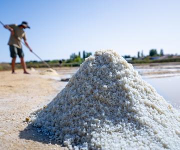 Produits du terroir île d'Oléron Marennes