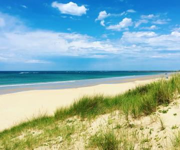 Plages des huttes, île d'Oléron, webcam