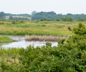 Le marais Marennes-Oléron