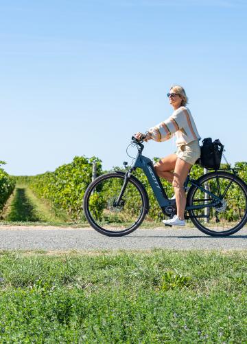 Vélo dans les vignes