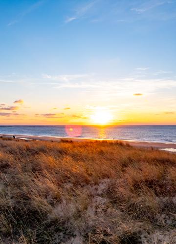 Wetter, Ile d'Oléron en Marennes Becken