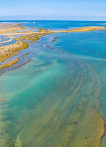 Plages de l'île d'Oléron et du bassin de Marennes