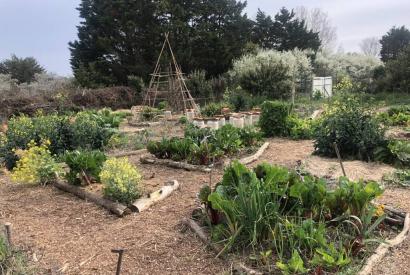 Permaculture au jardin - Visite du jardin et de sa champignonnière Le 25 sept 2024