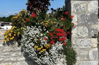Visite commentée du cimetière - Journées européennes du patrimoine