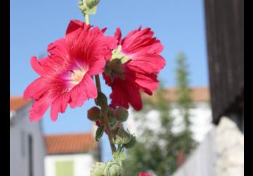 Village de la Boirie