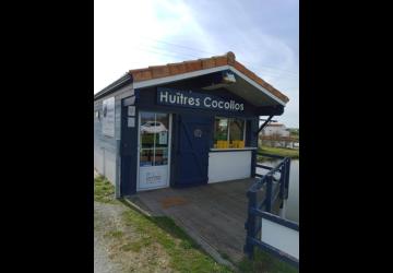 Huîtres Cocollos_Bourcefranc-le-Chapus