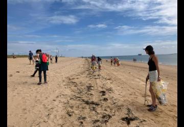 Ramassage des déchets sur les plages oléronnaises