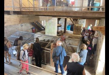 Moulin des Loges - Guided Tour in english