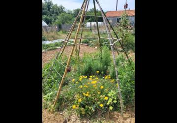 Visite du jardin de Terre d'éveils