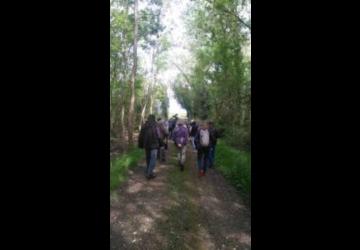 Animation nature : Balade sensorielle en forêt de Nodes_Bourcefranc-le-Chapus