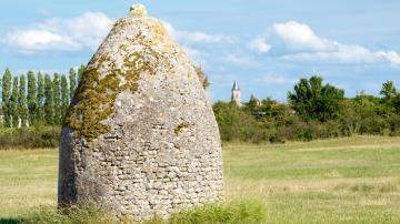 Saloche en Marennes-Becken