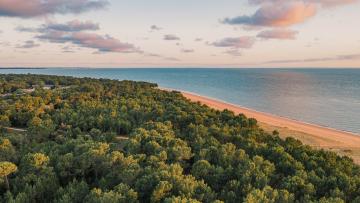 Forêt des Saumonards bordée par la mer